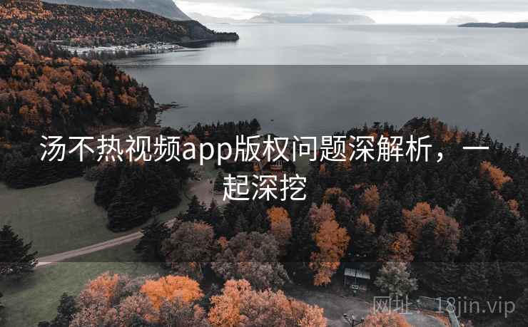 汤不热视频app版权问题深解析，一起深挖