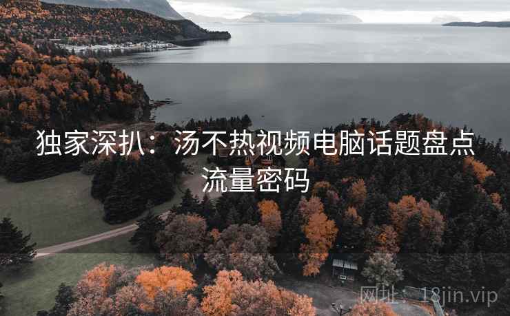独家深扒：汤不热视频电脑话题盘点流量密码