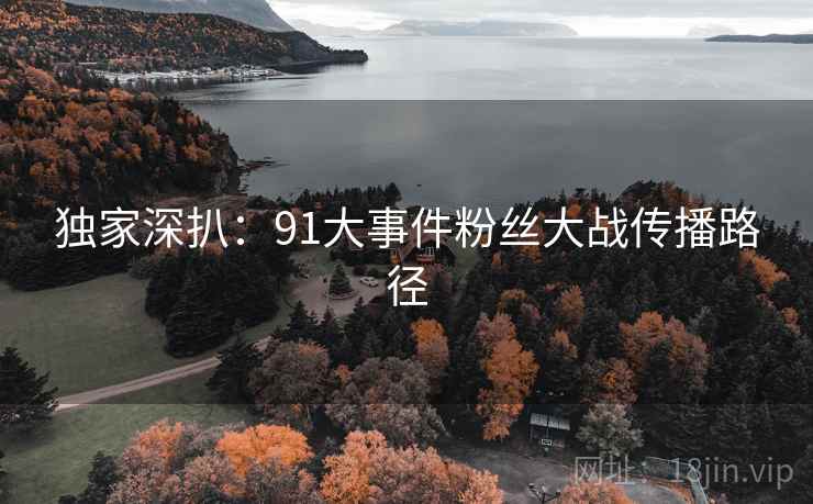 独家深扒：91大事件粉丝大战传播路径