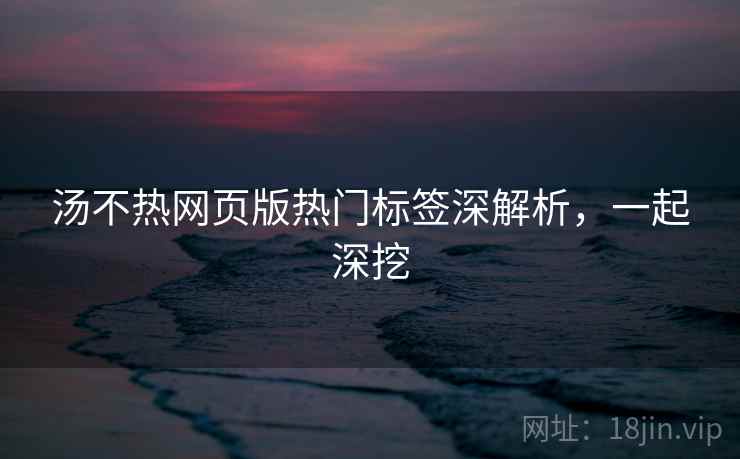 汤不热网页版热门标签深解析，一起深挖